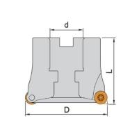 ICARPF305050250 Фреза сферическая со сменными пластинами Winstar
